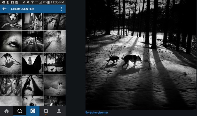 Cheryl Senter composite