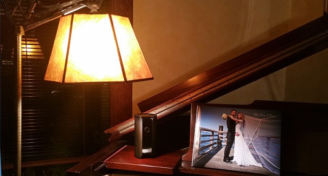 Canary blends in with almost any environment