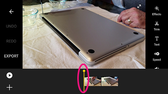 C First View © terrinakamura