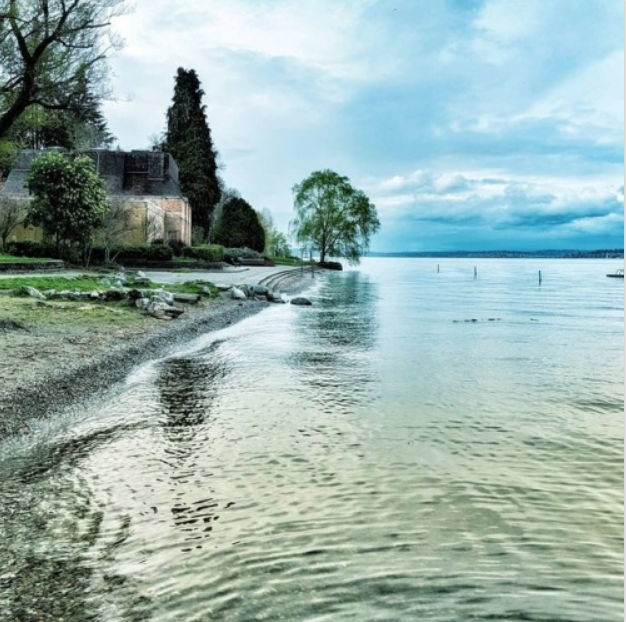 14 May 2018© Terri Nakamura 2018 -