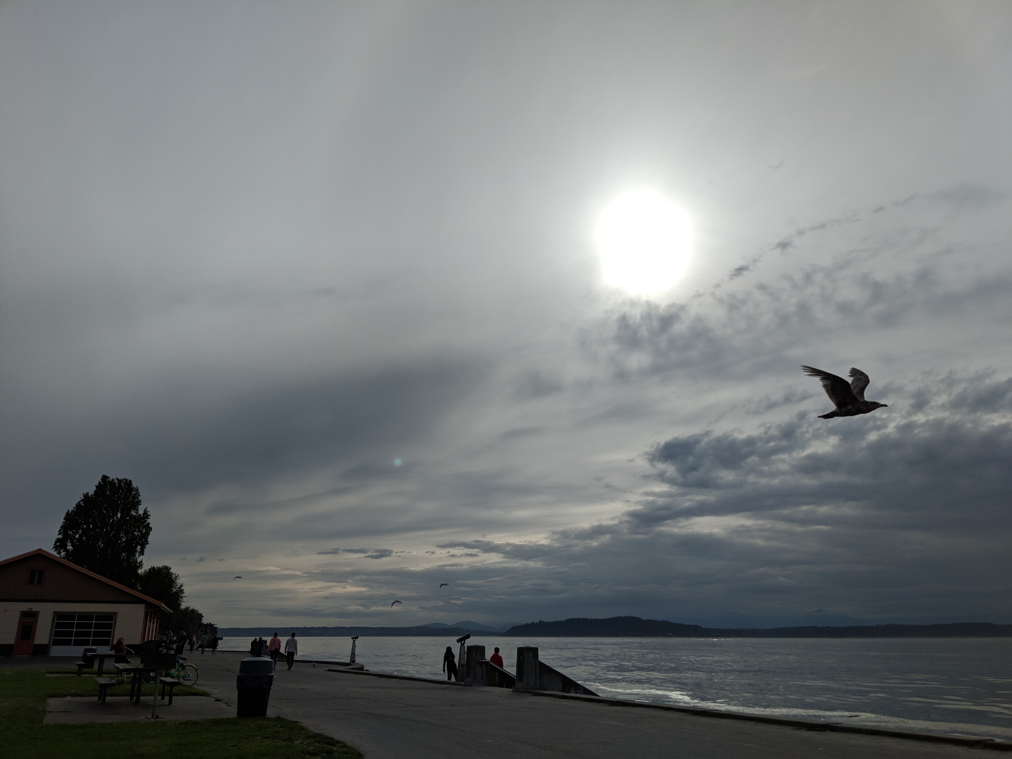 Maker:0x4c,Date:2017-11-19,Ver:4,Lens:Kan03,Act:Lar01,E-Y