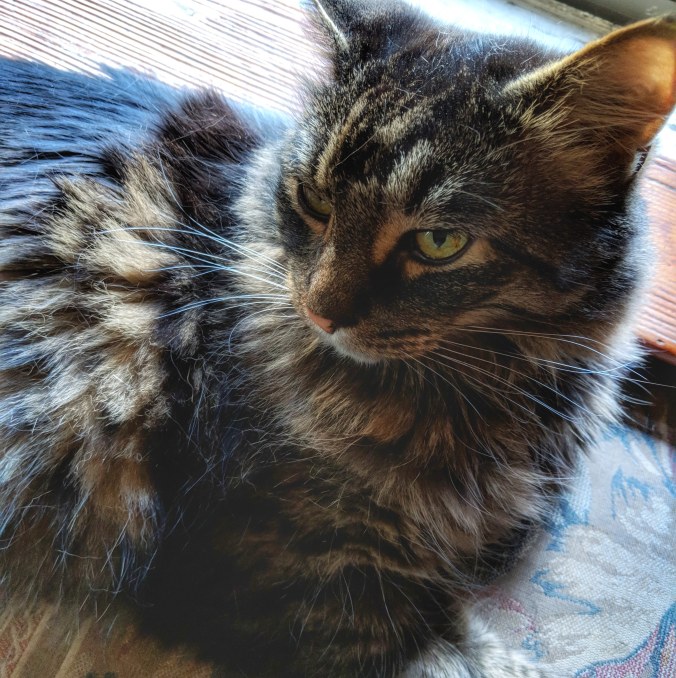 ©Terri-Nakamura_Hunter-IG-20180728_221254_803