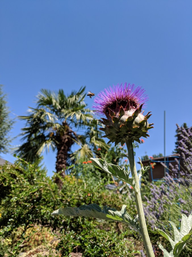 Maker:0x4c,Date:2017-11-19,Ver:4,Lens:Kan03,Act:Lar01,E-Y